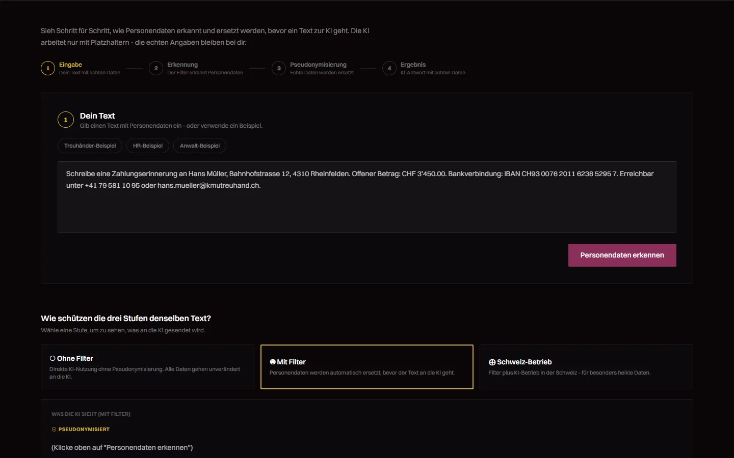 KI nutzen, ohne Personendaten preiszugeben