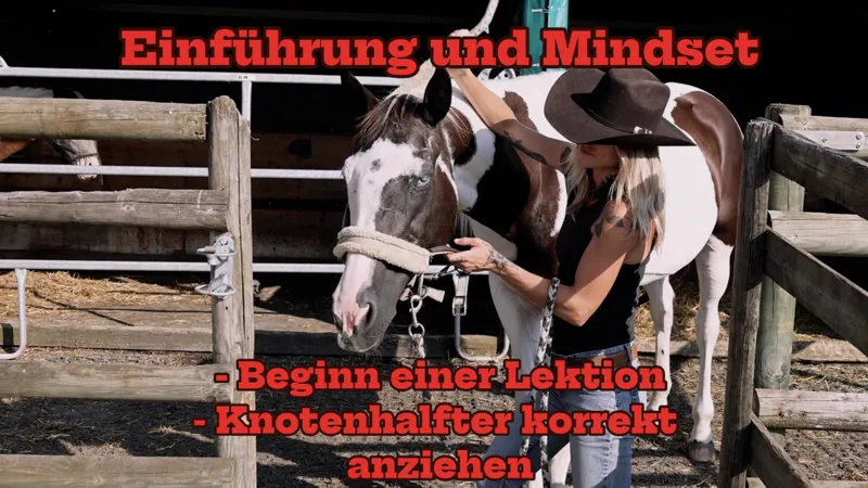 Lektionskarte: Einführung und Mindset